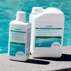 Bayrol Desalgin® 6 L - Жидкий анталг контроль, чтобы предотвратить и предотвратить рост водорослей в бассейне - блестящая вода бассейна благодаря четкому эффекту - без сульфата меди цена и информация | Химия для бассейнов | pigu.lt