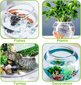 Stiklinis akvariumas gėlėms arba žuvims Nobleza, 20 cm kaina ir informacija | Akvariumai ir jų įranga | pigu.lt