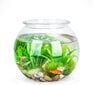 Stiklinis akvariumas gėlėms arba žuvims Nobleza, 20 cm kaina ir informacija | Akvariumai ir jų įranga | pigu.lt
