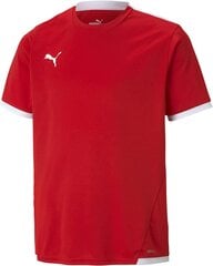 Рубашка Puma Unisex-Child, Puma Red-Puma White, 116 цена и информация | Футбольная форма и другие товары | pigu.lt