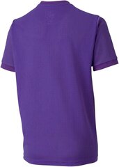 Marškinėliai Puma, violetiniai kaina ir informacija | Futbolo apranga ir kitos prekės | pigu.lt