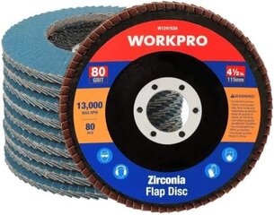 Šlifacimo diskai WorkPro Professional, 115 x 22,2mm kaina ir informacija | Mechaniniai įrankiai | pigu.lt