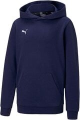 Puma Peacoat džemperis berniukams kaina ir informacija | Megztiniai, bluzonai, švarkai berniukams | pigu.lt