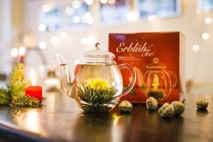 Creano Tea Blum Mix - Подарочный набор расцветал весенний урожай со стеклянной банкой из белого чая в 6 сортах, тароза, чайной вентилятор, цветущий чай, подарок для женщин, мать цена и информация | Чай | pigu.lt