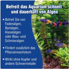 Priemonė nuo akvariumo dumblių Aquality, 500 ml kaina ir informacija | Akvariumai ir jų įranga | pigu.lt