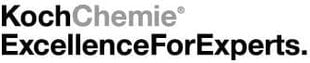 Koch Chemistry 2x Asc Allround Surface Cleaner Special Special Cleaner 500 мл цена и информация | Автохимия | pigu.lt