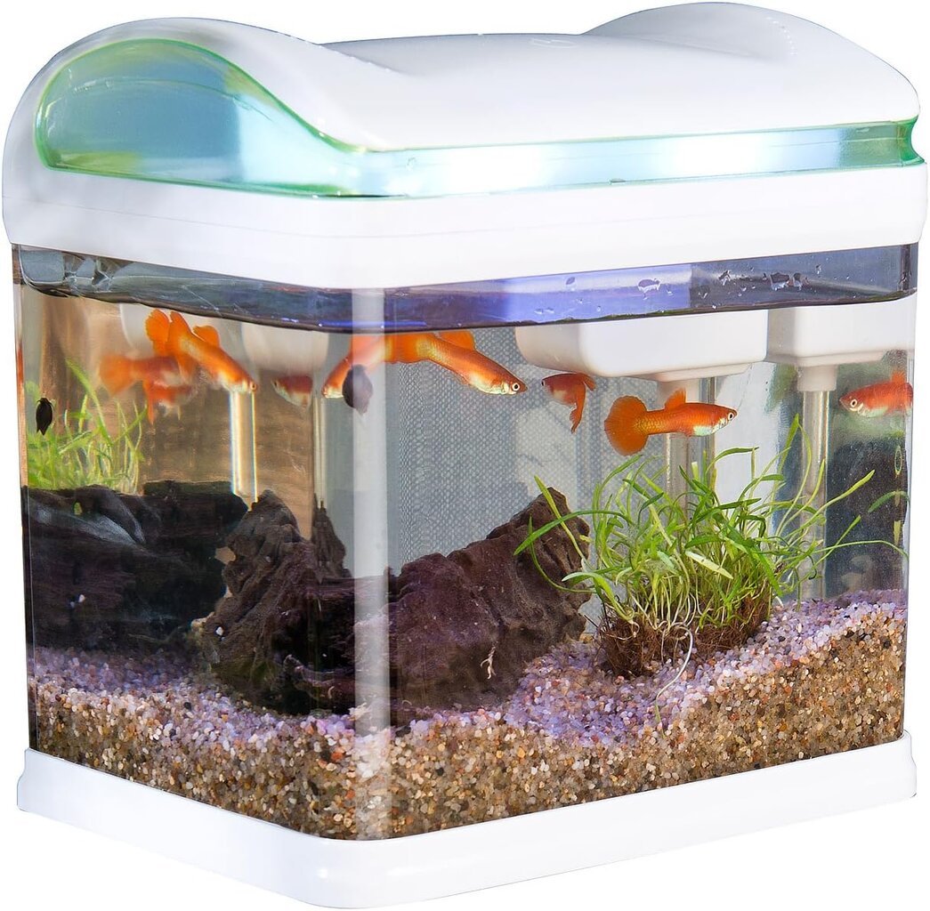 Akvariumas su filtru, LED apšvietimu ir USB SweeTypet, 3.3 l kaina ir informacija | Akvariumai ir jų įranga | pigu.lt