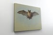 Reprodukcija Study of a Bat (Archibald Thorburn), 60x80 cm kaina ir informacija | Reprodukcijos, paveikslai | pigu.lt
