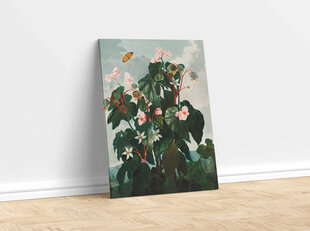 Reprodukcija The Oblique–Leaved Begonia (Robert John Thornton (1808)), 60x80 cm kaina ir informacija | Reprodukcijos, paveikslai | pigu.lt