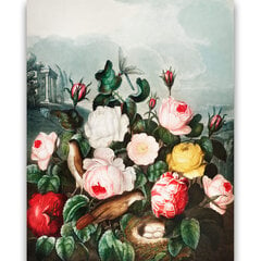 Reprodukcija Roses (Robert John Thornton (1808)), 40x60 cm kaina ir informacija | Reprodukcijos, paveikslai | pigu.lt