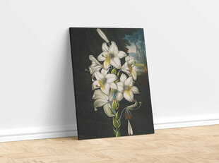 Reprodukcija The White Lily (Robert John Thornton (1808)), 30x40 cm kaina ir informacija | Reprodukcijos, paveikslai | pigu.lt