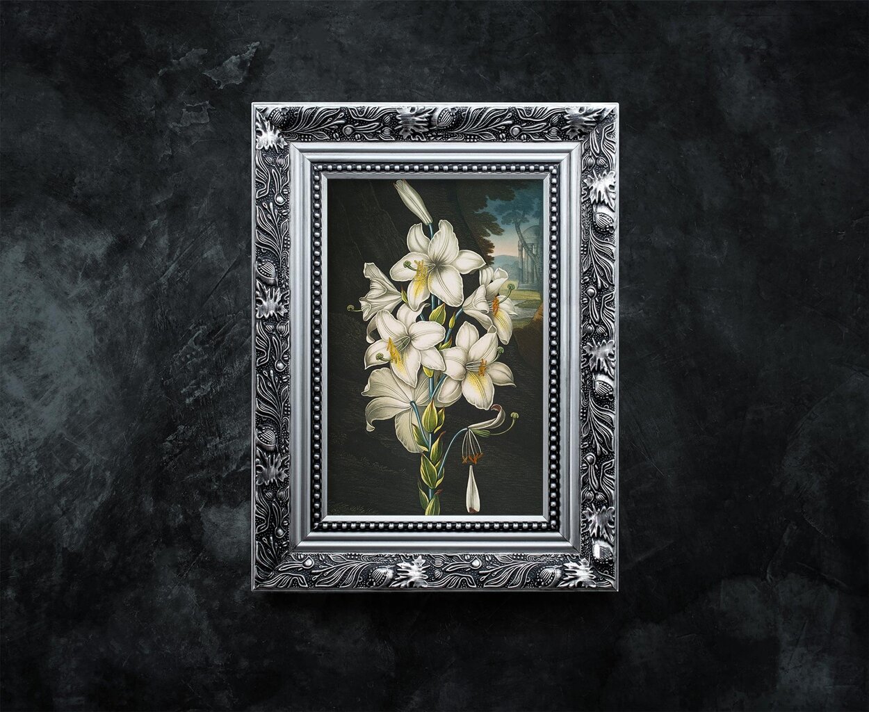 Reprodukcija The White Lily (Robert John Thornton (1808)), 40x60 cm kaina ir informacija | Reprodukcijos, paveikslai | pigu.lt