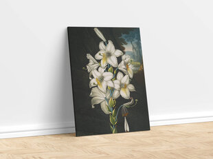 Reprodukcija The White Lily (Robert John Thornton (1808)), 40x60 cm kaina ir informacija | Reprodukcijos, paveikslai | pigu.lt
