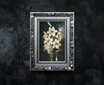 Reprodukcija The White Lily (Robert John Thornton (1808)), 100x70 cm kaina ir informacija | Reprodukcijos, paveikslai | pigu.lt