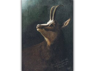 Reprodukcija Head of a Chamois (Karl Wilhelm Diefenbach), 30x40 cm kaina ir informacija | Reprodukcijos, paveikslai | pigu.lt