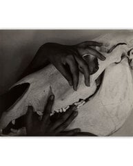 Paveikslas Hands and Horse Skull (1931) (Alfred Stieglitz), 40x35 cm kaina ir informacija | Reprodukcijos, paveikslai | pigu.lt