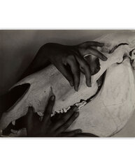 Paveikslas Hands and Horse Skull (1931) (Alfred Stieglitz), 60x50 cm kaina ir informacija | Reprodukcijos, paveikslai | pigu.lt