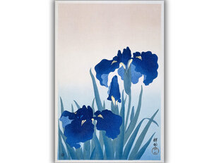 Reprodukcija Iris flowers (Ohara Koson), 100x70 cm kaina ir informacija | Reprodukcijos, paveikslai | pigu.lt