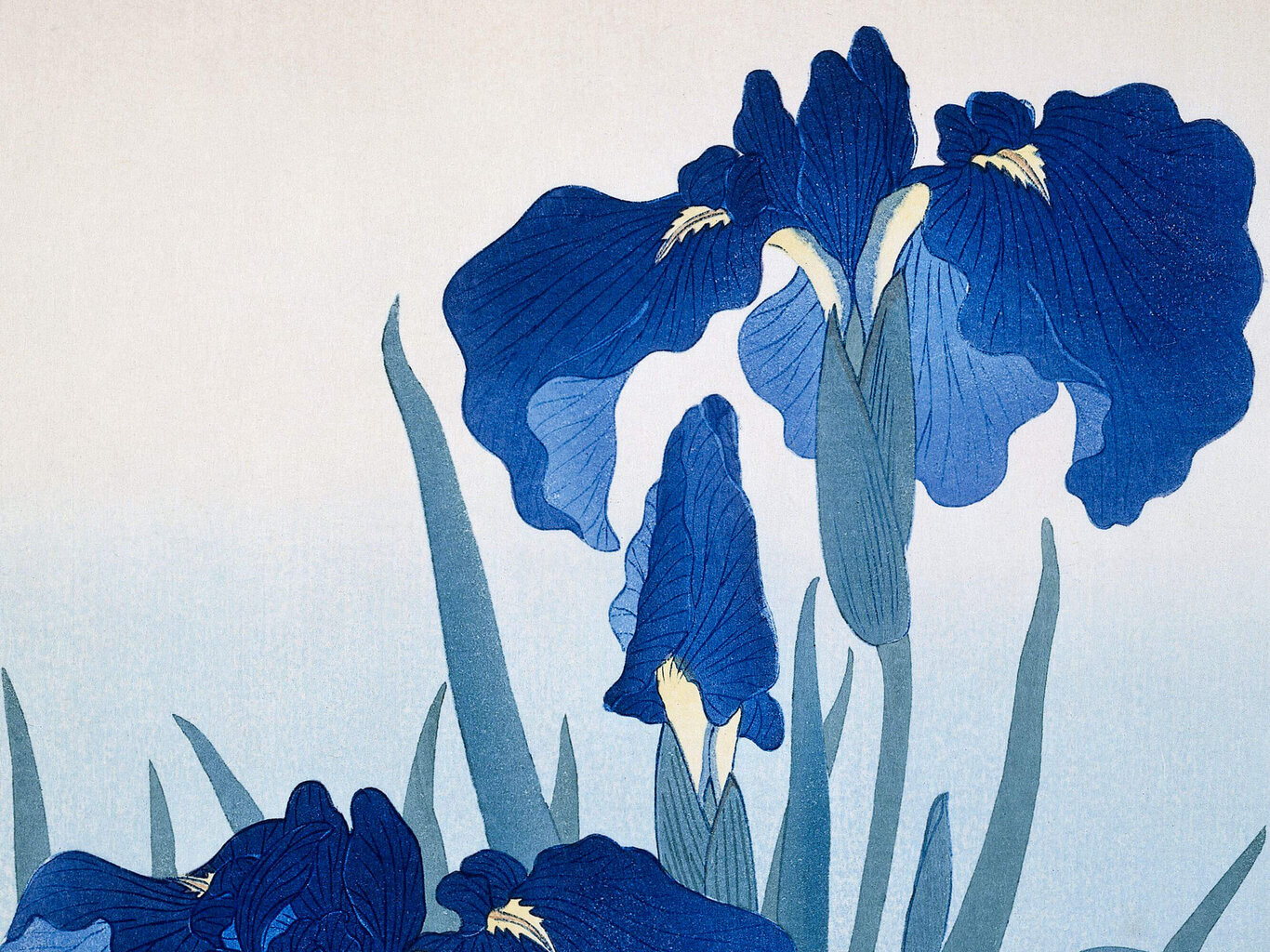 Reprodukcija Iris flowers (Ohara Koson), 100x70 cm kaina ir informacija | Reprodukcijos, paveikslai | pigu.lt