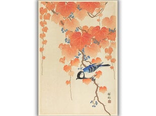 Reprodukcija Great Tit on Paulownia Branch (Ohara Koson), 40x60 cm kaina ir informacija | Reprodukcijos, paveikslai | pigu.lt