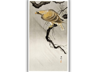 Reprodukcija Eagle on a Branch (Ohara Koson), 80x50 cm kaina ir informacija | Reprodukcijos, paveikslai | pigu.lt
