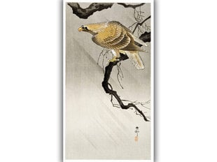 Reprodukcija Eagle on a Branch (Ohara Koson), 100x60 cm kaina ir informacija | Reprodukcijos, paveikslai | pigu.lt