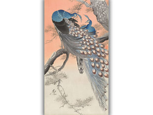 Reprodukcija Two Peacocks on Tree Branch (Ohara Koson), 60x30 cm kaina ir informacija | Reprodukcijos, paveikslai | pigu.lt