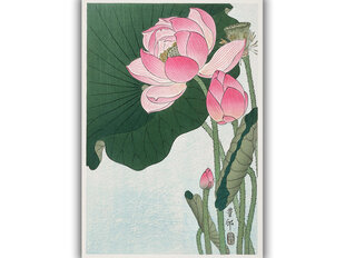 Reprodukcija Blooming Lotus Flowers (Ohara Koson), 30x40 cm kaina ir informacija | Reprodukcijos, paveikslai | pigu.lt