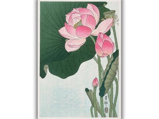 Reprodukcija Blooming Lotus Flowers (Ohara Koson), 40x60 cm kaina ir informacija | Reprodukcijos, paveikslai | pigu.lt