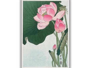Reprodukcija Blooming Lotus Flowers (Ohara Koson), 60x80 cm kaina ir informacija | Reprodukcijos, paveikslai | pigu.lt