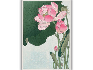 Reprodukcija Blooming Lotus Flowers (Ohara Koson), 100x70 cm kaina ir informacija | Reprodukcijos, paveikslai | pigu.lt