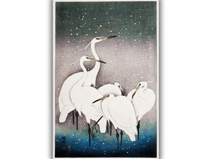 Reprodukcija Group of Egrets (Ohara Koson), 40x60 cm kaina ir informacija | Reprodukcijos, paveikslai | pigu.lt