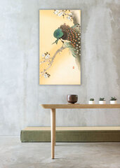Reprodukcija Peacock on a Cherry Blossom Tree (Ohara Koson), 60x30 cm kaina ir informacija | Reprodukcijos, paveikslai | pigu.lt
