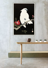 Reprodukcija Cockatoo and Pomegranate (Ohara Koson), 60x80 cm kaina ir informacija | Reprodukcijos, paveikslai | pigu.lt