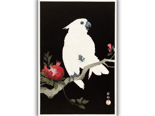 Reprodukcija Cockatoo and Pomegranate (Ohara Koson), 60x80 cm kaina ir informacija | Reprodukcijos, paveikslai | pigu.lt