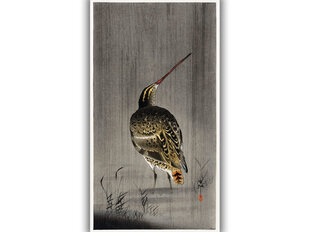 Reprodukcija Snipe in the Rain (Ohara Koson), 60x30 cm kaina ir informacija | Reprodukcijos, paveikslai | pigu.lt