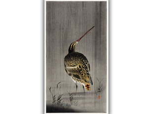 Reprodukcija Snipe in the Rain (Ohara Koson), 80x50 cm kaina ir informacija | Reprodukcijos, paveikslai | pigu.lt
