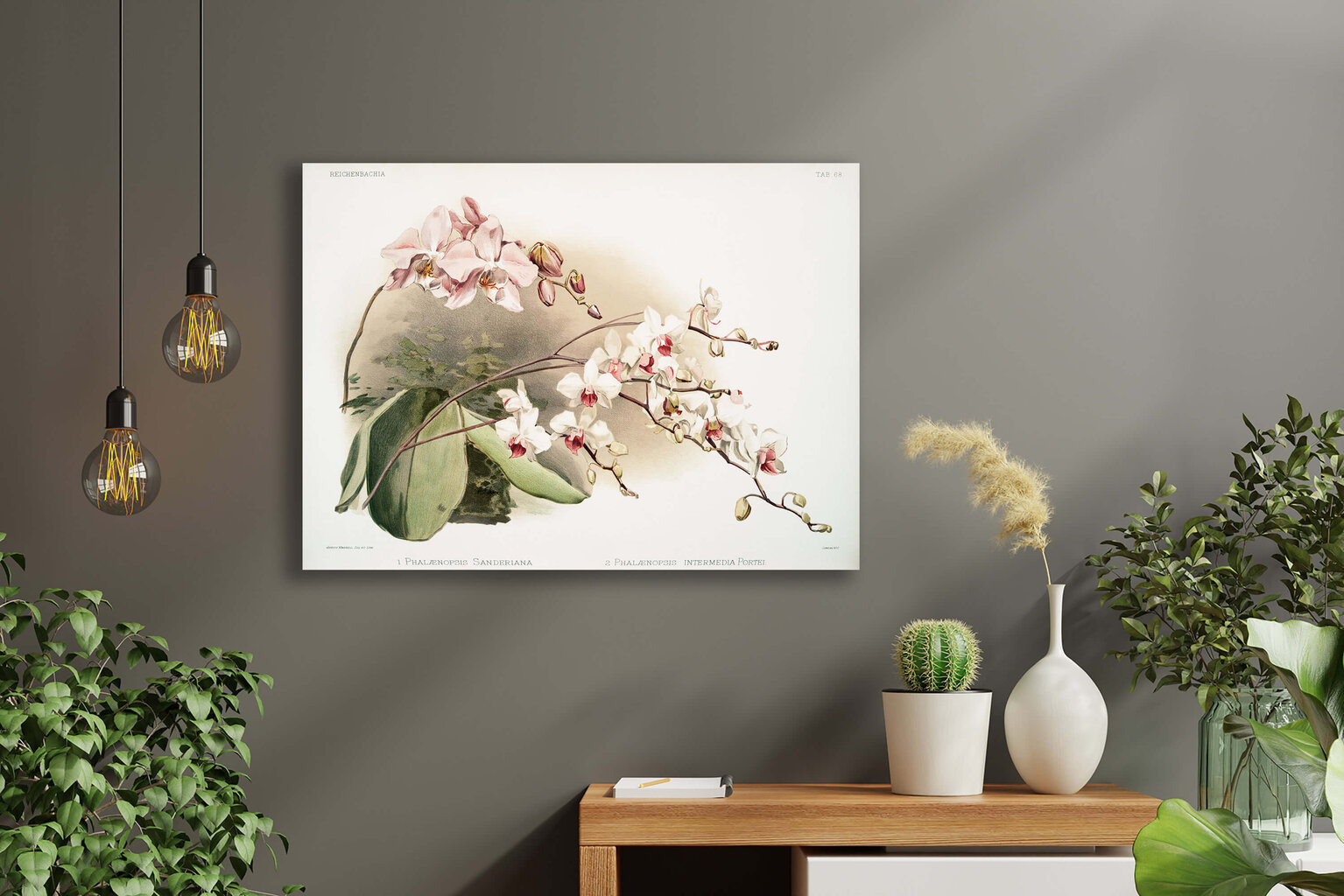 Reprodukcija Vintažinė botanika: Orchidėja, 30x40 cm kaina ir informacija | Reprodukcijos, paveikslai | pigu.lt