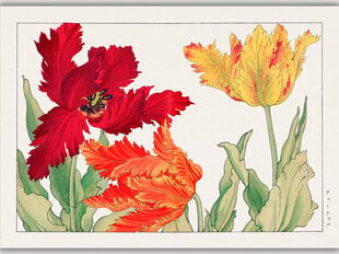 Репродукция Винтажная ботаника: Попугайные тюльпаны, 40x60 см цена и информация | Репродукции, картины | pigu.lt