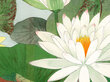 Reprodukcija Vintažinė botanika: Lotosas, 40x60 cm kaina ir informacija | Reprodukcijos, paveikslai | pigu.lt