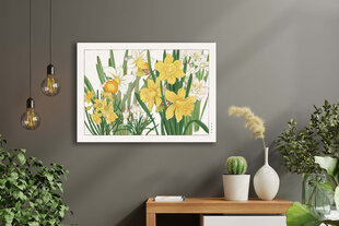 Reprodukcija Vintažinė botanika: Narcizai, 30x40 cm kaina ir informacija | Reprodukcijos, paveikslai | pigu.lt