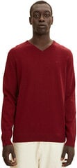 Мужской свитер Regular Fit 1027300.30315 цена и информация | Мужские свитера | pigu.lt