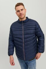 Мужская одежда цена и информация | Мужские куртки | pigu.lt