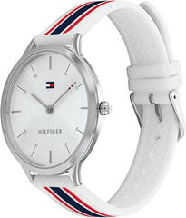 Tommy Hilfiger Саманта 1782498 цена и информация | Женские часы | pigu.lt