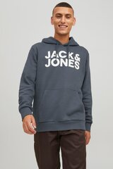 Džemperis vyrams Jack&Jones 12152840, pilkas kaina ir informacija | Džemperiai vyrams | pigu.lt