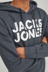 Džemperis vyrams Jack&Jones 12152840, pilkas kaina ir informacija | Džemperiai vyrams | pigu.lt
