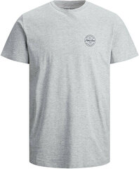Marškinėliai vyrams Jack&Jones 12205022, pilki kaina ir informacija | Vyriški marškinėliai | pigu.lt
