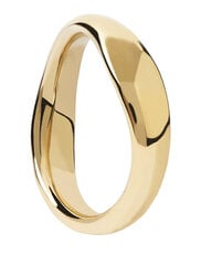 PDPAOLA Серебряное кольцо с позолотой PIROUETTE золотое кольцо AN01-462 цена и информация | Кольцо | pigu.lt