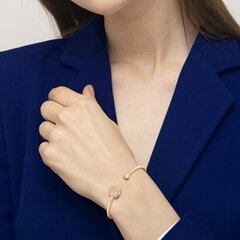 Tommy Hilfiger Позолоченный браслет с кристаллами 2780578 цена и информация | Женский браслет | pigu.lt