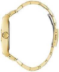 Guess Феникс GW0456G2 цена и информация | Женские часы | pigu.lt